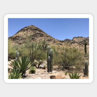 Arizona desert Sticker